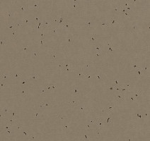 Линолеум Forbo Sphera Energetic 50206 bark фото 1 | FLOORDEALER